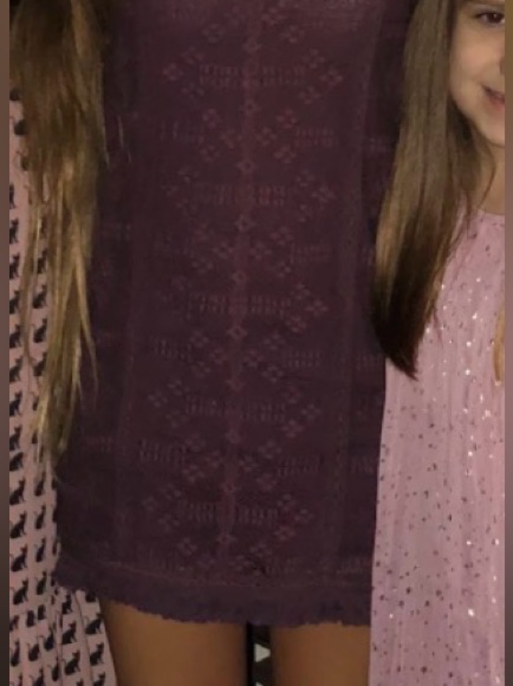 LoveShackFancy Burgundy Plum Lace Mini Dress - Picture 6 of 7